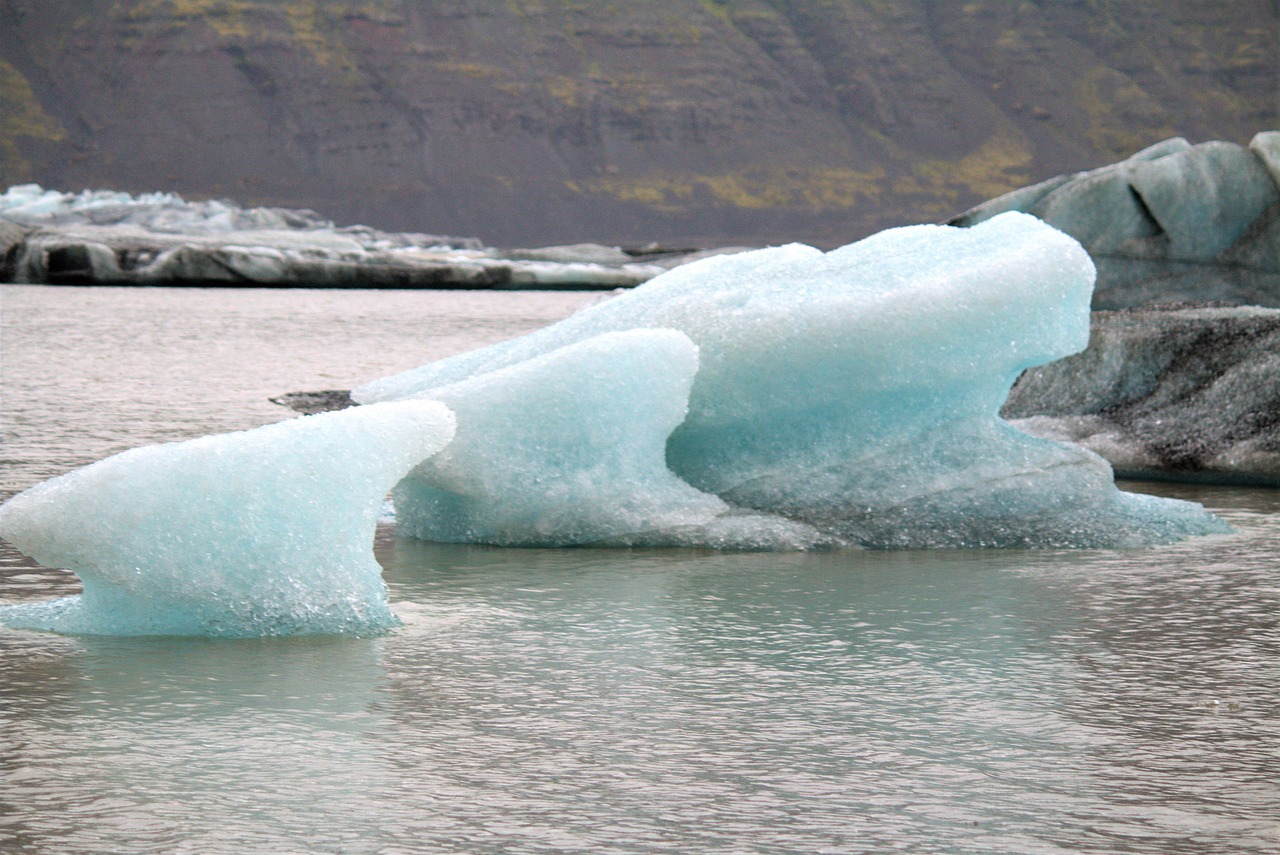 The Importance of Environmental Justice